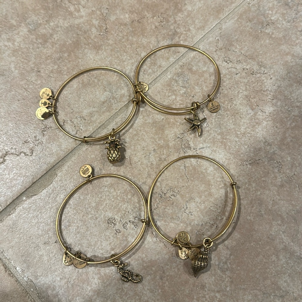 Alex an Ani Beach Set